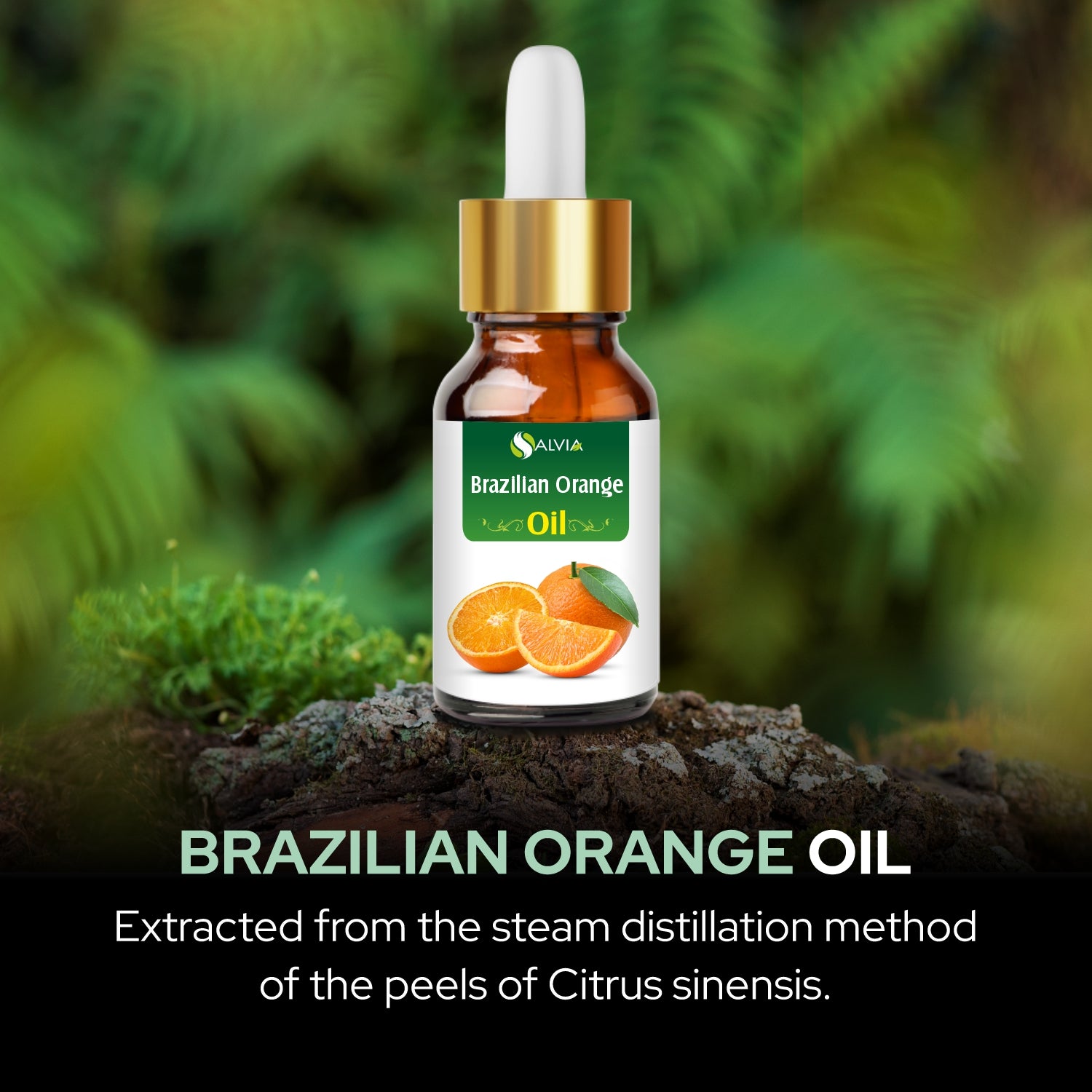 Salvia Natural Essential Oils,Dandruff,Greasy Oil,Anti Fungal,Anti-fungal Oil,Oil for Greasy Hair Brazillian Orange Salvia Natural Essential Oils,Dandruff,Greasy Oil,Anti Fungal,Anti-fungal Oil,Oil for Greasy Hair Brazillian Orange